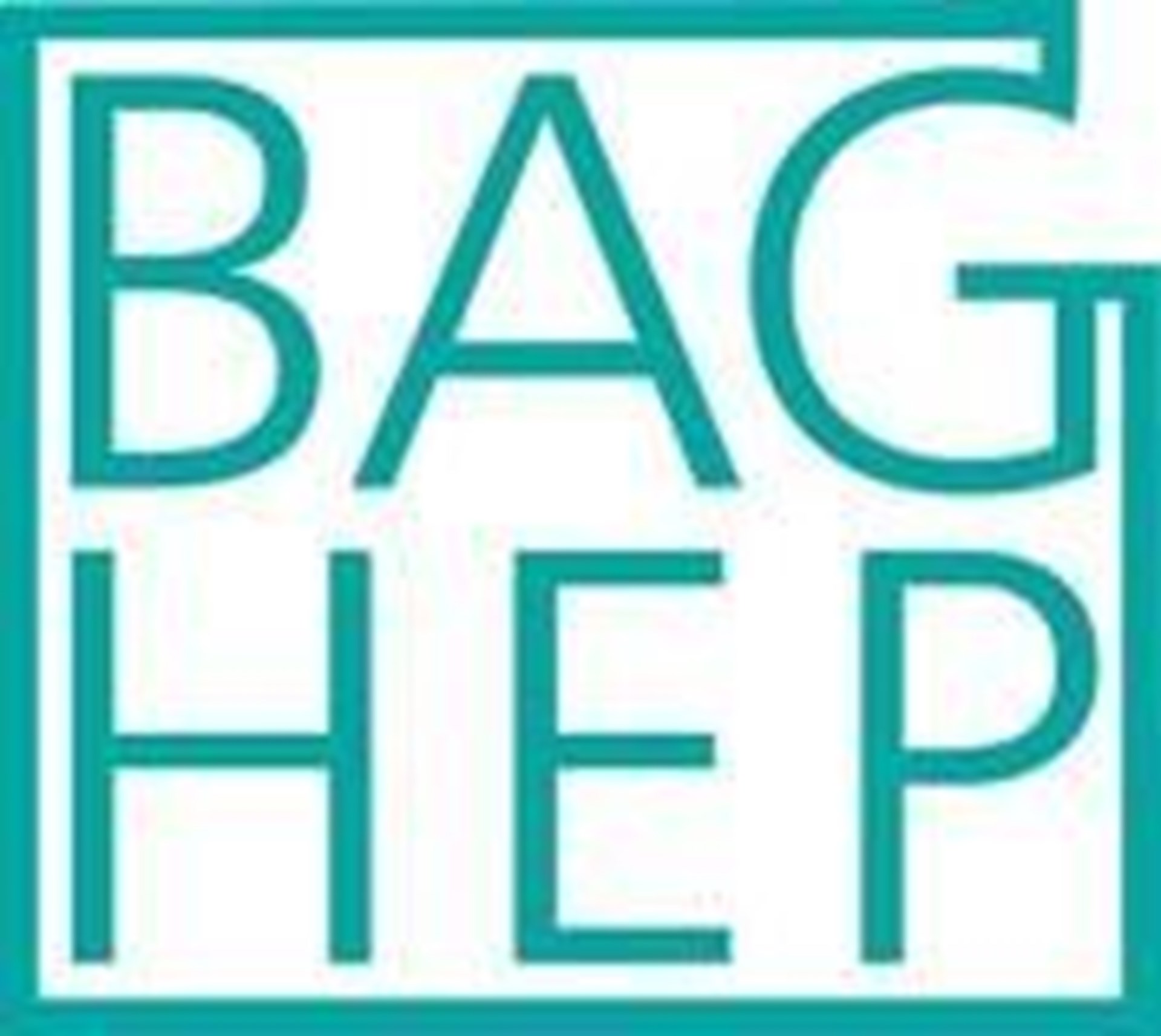 LOGO BAG HEP